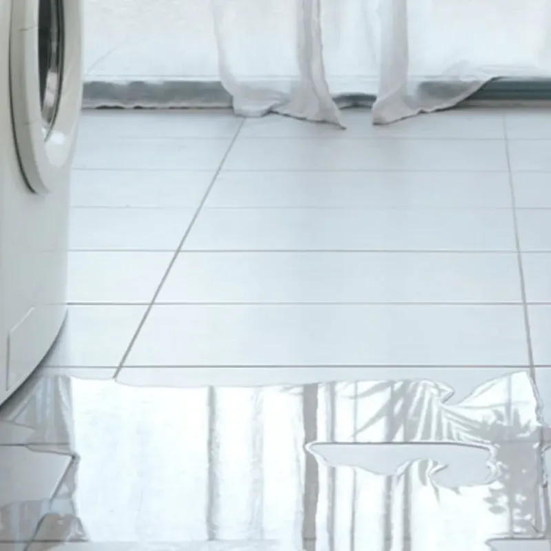 Appliance Leak Cleanup in Raymond, MS