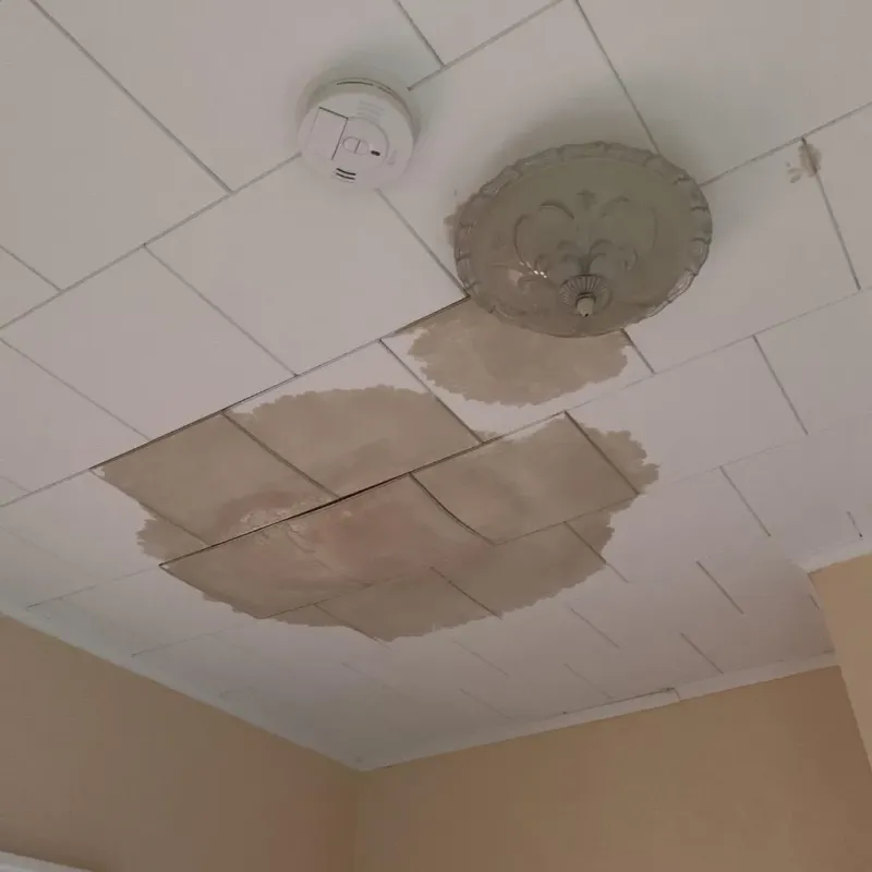 Ceiling Water Damage Repair in Raymond, MS