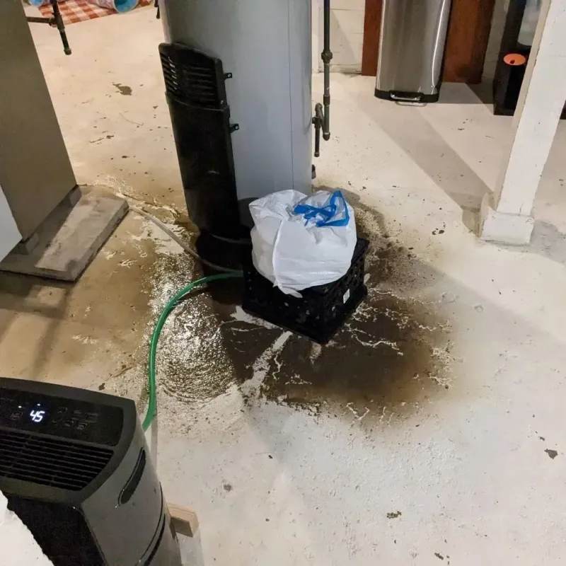 Sewage Backup Cleanup Service in Raymond, MS